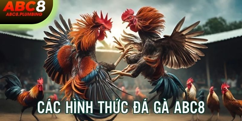 Khám phá những trò chọi kê đẳng cấp được yêu thích