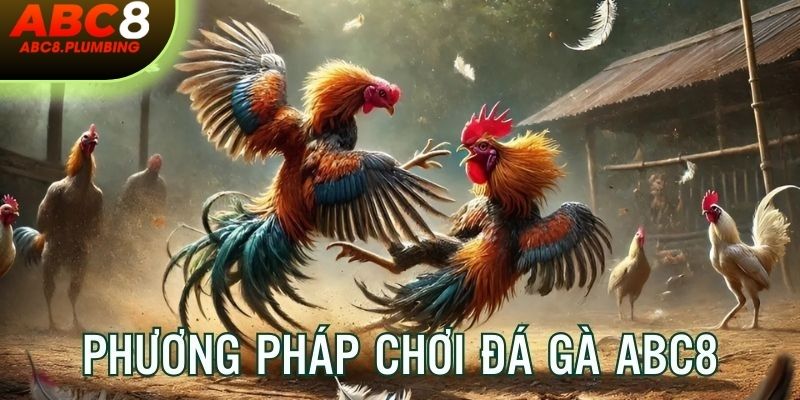 Phương pháp chơi hiệu quả, tăng cao tỷ lệ thắng nên biết