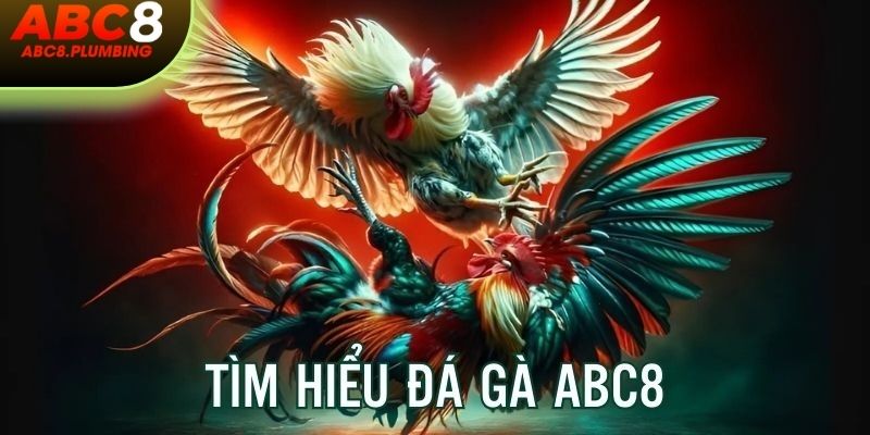 Tìm hiểu sơ lược về bộ môn chọi kê tại ABC8